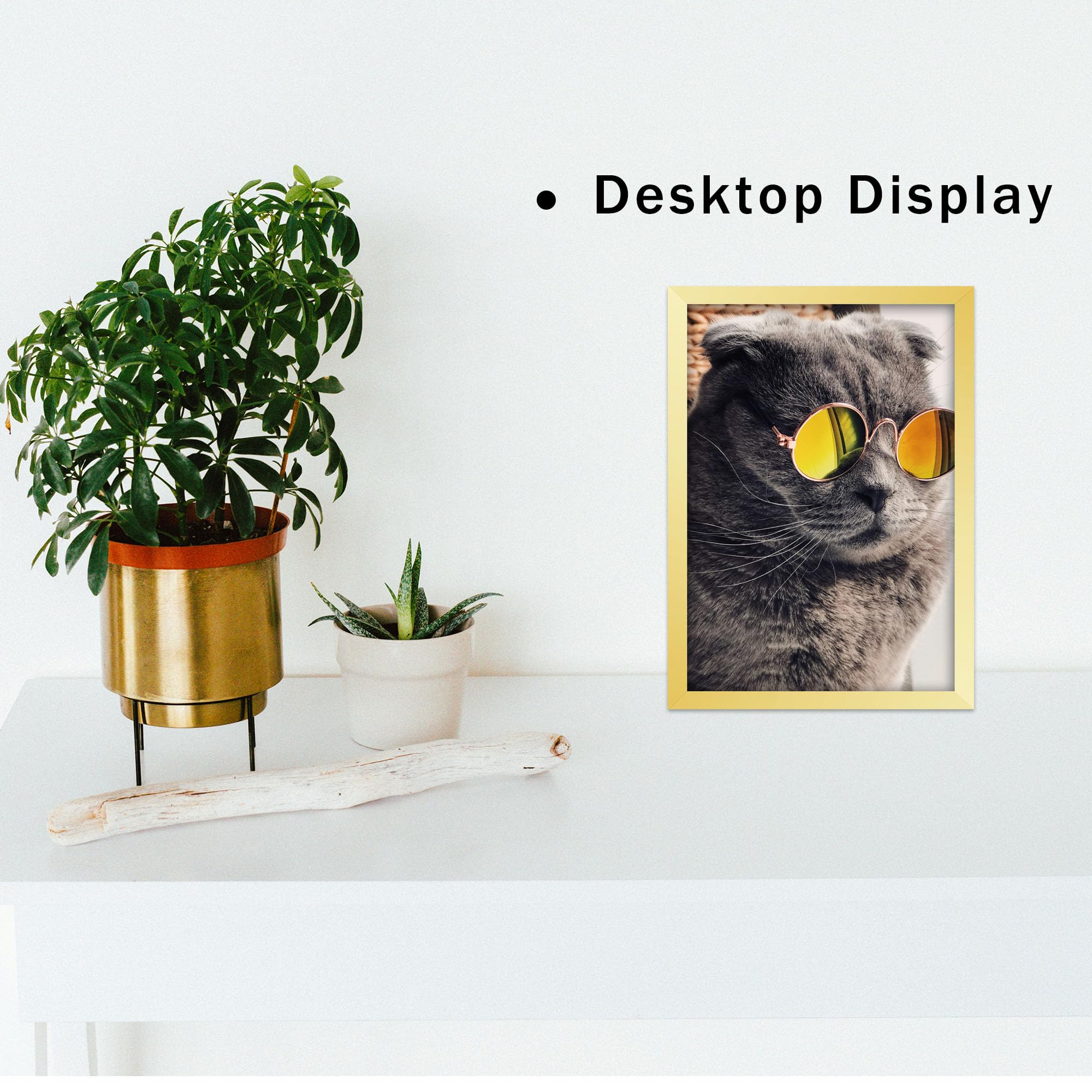 THCASITO Picture Frames 8x12 Gold Photo Frames without Mat for Wall and Tabletop Decor, Set of 2